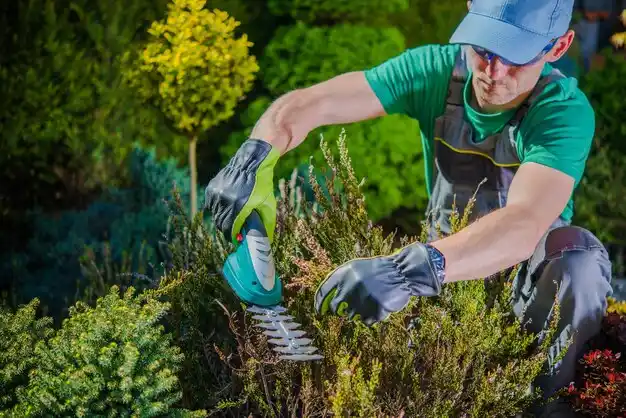landscaping services Prentiss